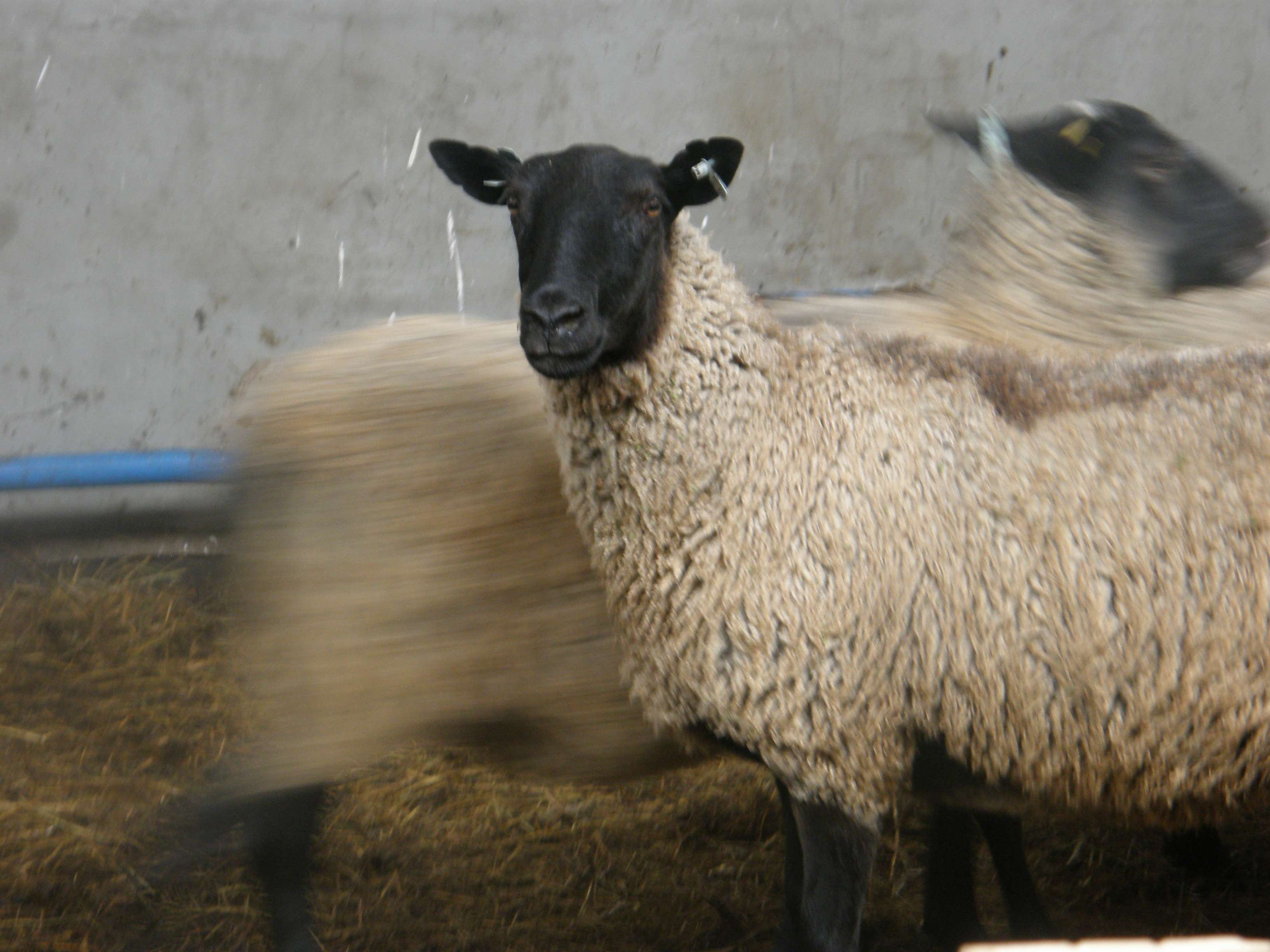 Photo 20